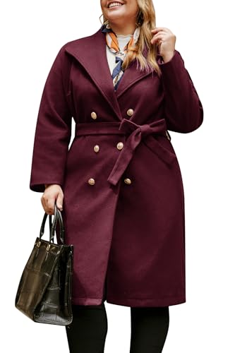 Amazon.com: Hanna Nikole Women's Plus Size Fall Winter Wool Dress